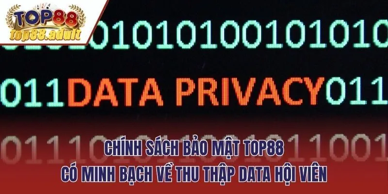 Chính sách bảo mật Top88 có minh bạch về thu thập data hội viên